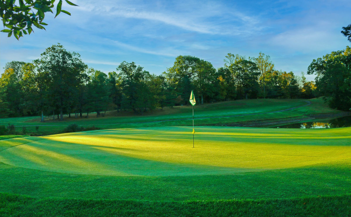 Woodhaven CC Tom Irwin